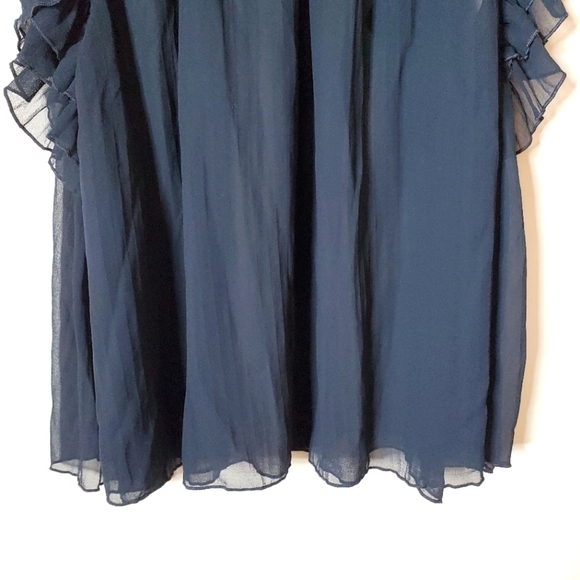 Anthropologie Sheer Chiffon Ruffle Blouse Top - Picture 10 of 14